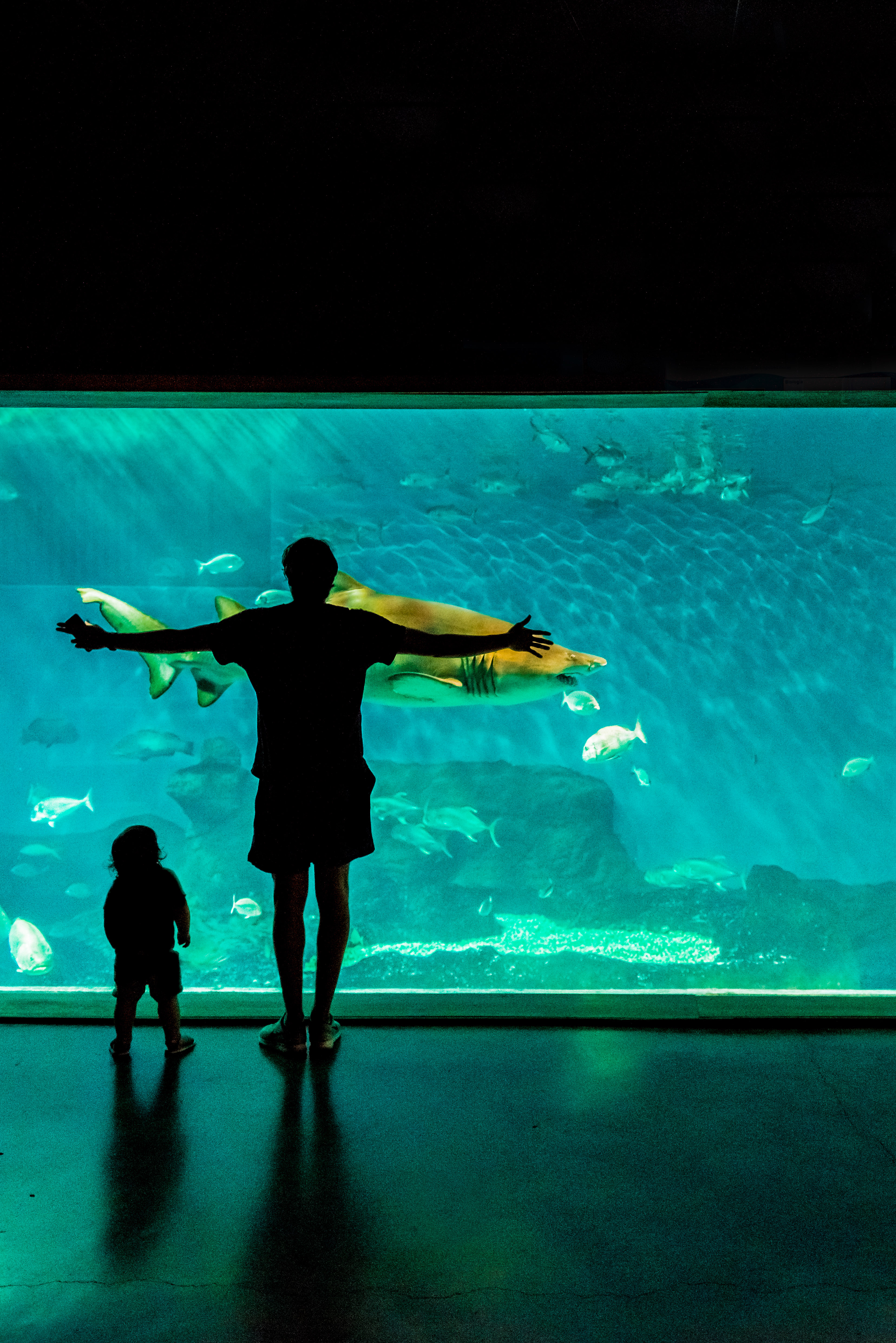 El acuario de Sevilla