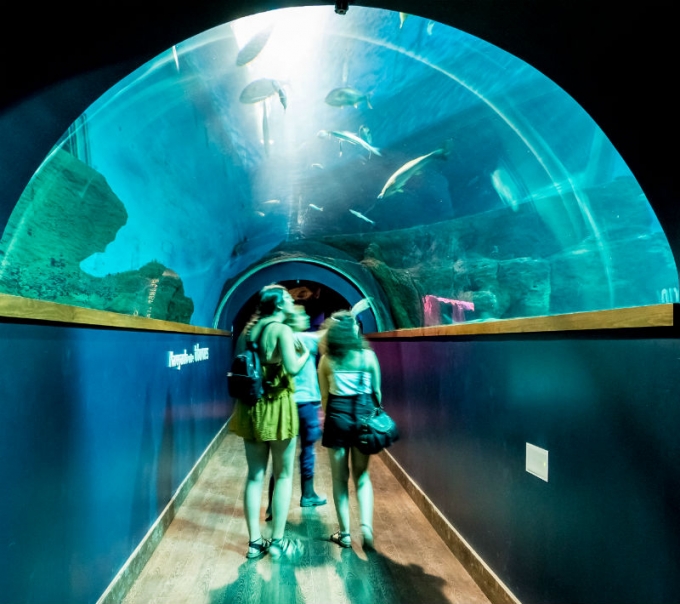 Acuario de Sevilla
