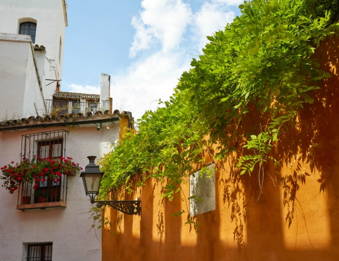 Ocnos. Calle Judería, Sevilla