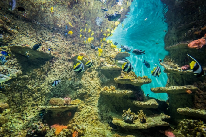 Acuario de Sevilla