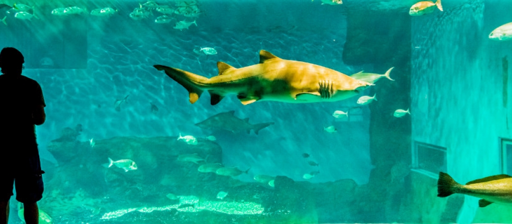 Acuario de Sevilla