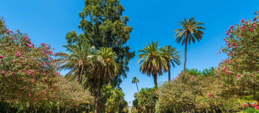 Jardines de Murillo. Sevilla