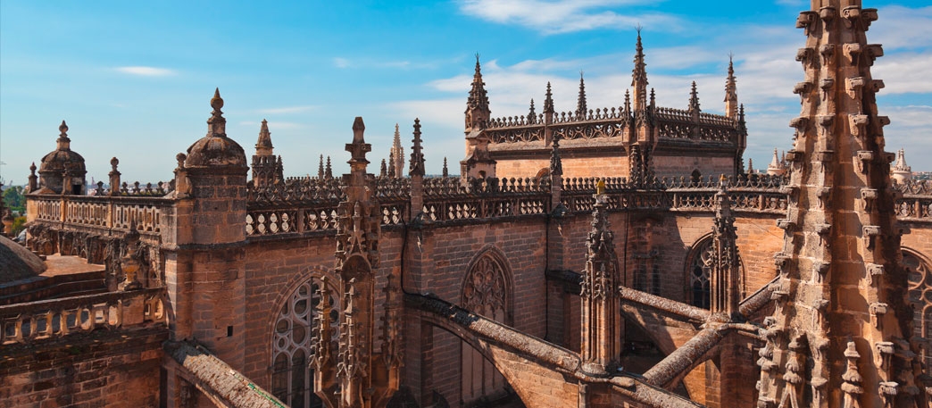 Roofs of the Cathedral