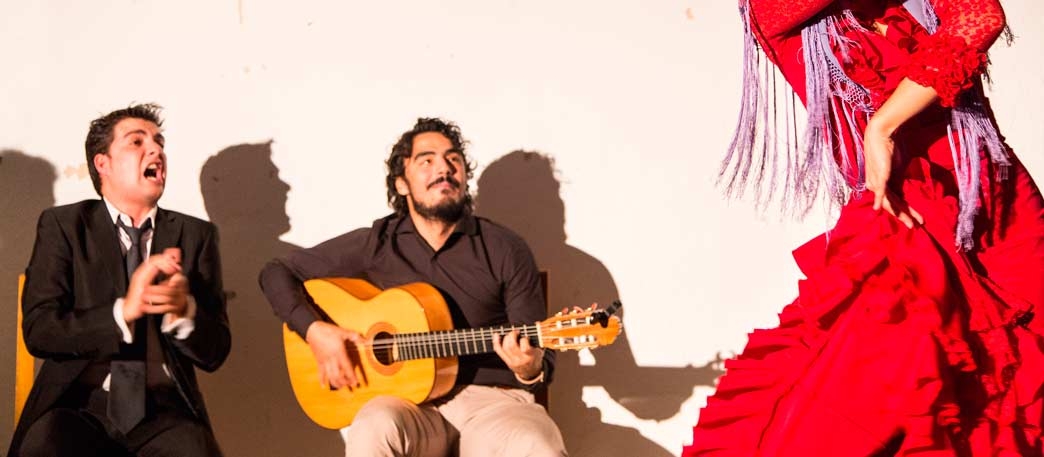Flamenco guitarist