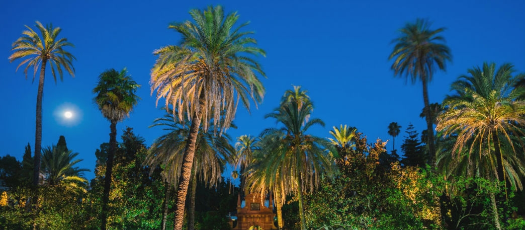 Nights in the Gardens of the Alcazar