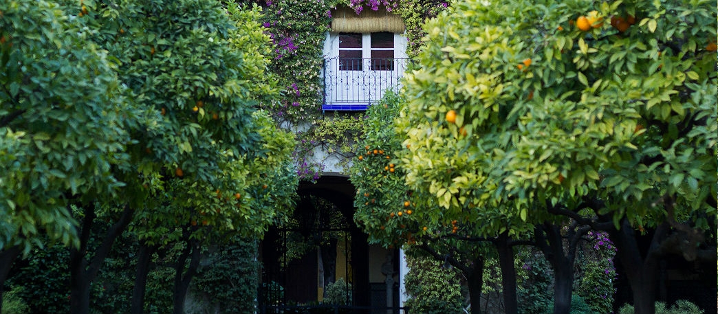 Palacio de las Dueñas, Sevilla. Antonio Machado