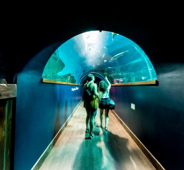 El acuario de Sevilla