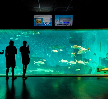El acuario de Sevilla