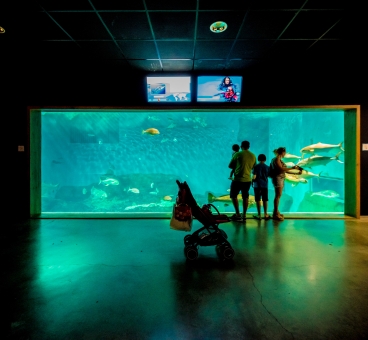 El acuario de Sevilla