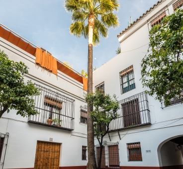 El barrio de Santa Cruz