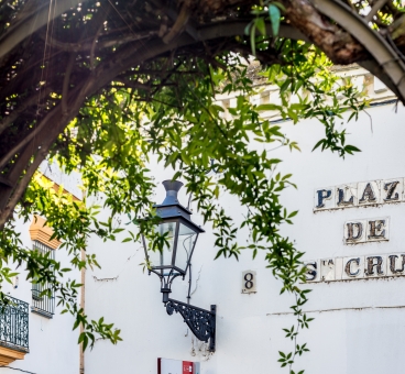 El barrio de Santa Cruz