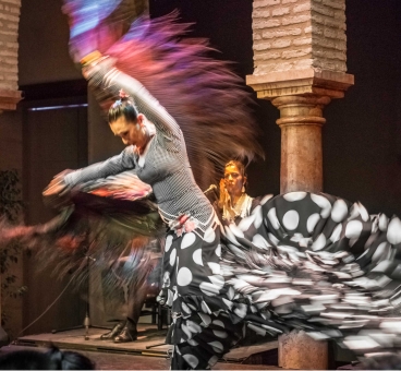 Flamenco Dancer
