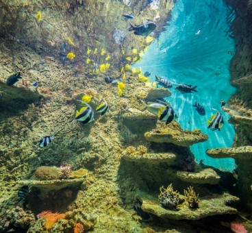 Acuario de Sevilla