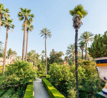 Centenary Gardens of Seville. Real Alcázar de Sevilla