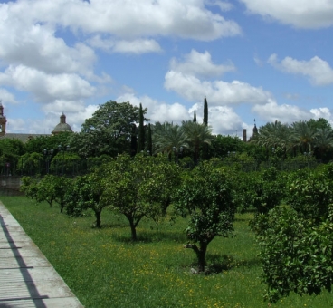 Buhaira Gardens
