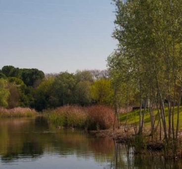 Parque del Alamillo