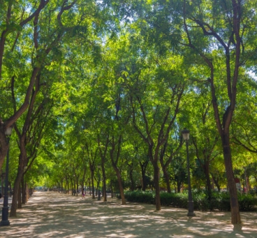 Prado Gardens