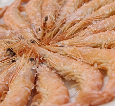 gambas